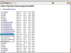 NetRider download .